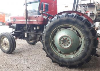 Trattore gommato Massey Ferguson MF 135 SPECIAL